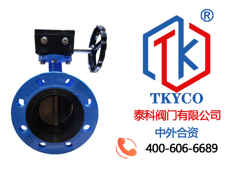 1611197738.png 法蘭中線蝶閥拼圖.png