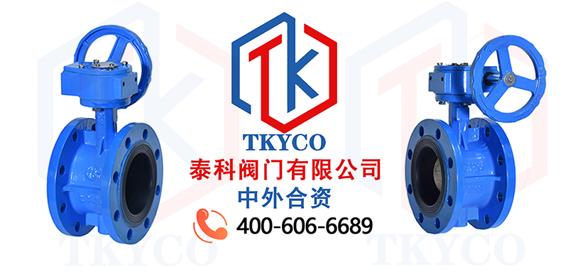 1677550324.jpg 法蘭蝶閥拼圖尼必可.jpg