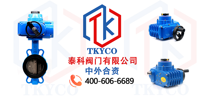 1679967953.jpg 電動對夾蝶閥拼圖.jpg