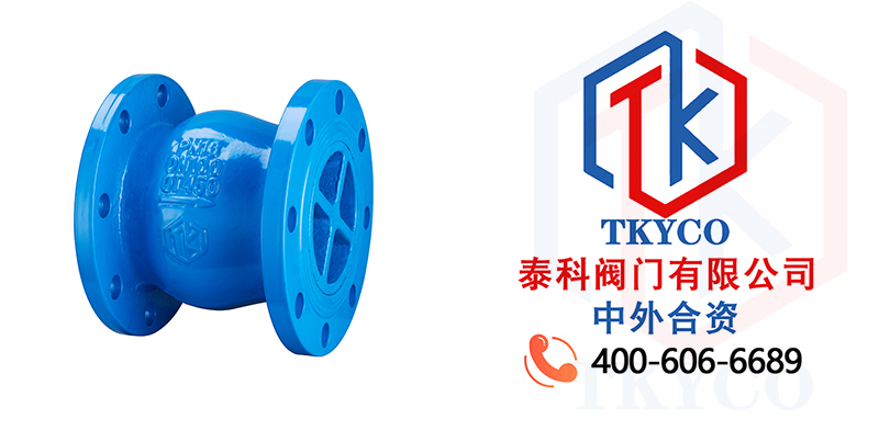 1681177972.jpg 靜音止回閥拼圖尼必可.jpg