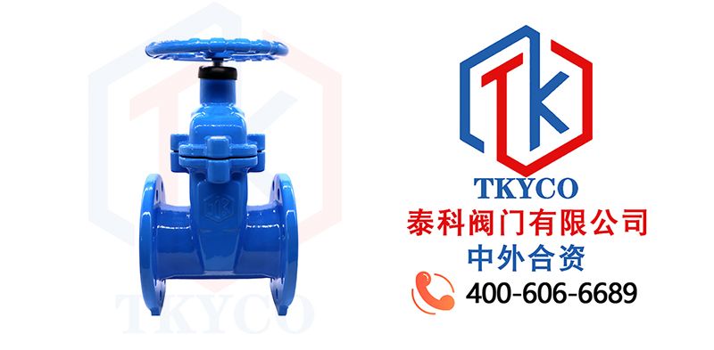 1681350404.jpg 軟密封閘閥拼圖尼必可.jpg