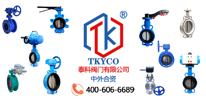 1687831275.jpg 各類蝶閥拼圖尼必可.jpg