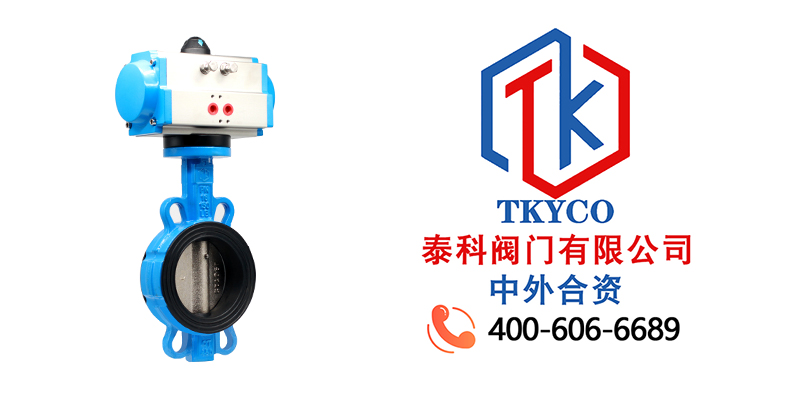 1689644665.jpg 氣動對夾蝶閥尼必可.jpg