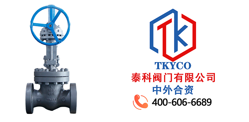 1693965962.jpg 軟密封閘閥拼圖尼必可.jpg