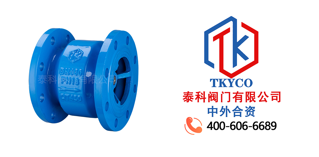 1700617921.jpg 旋啟式止回閥拼圖.jpg