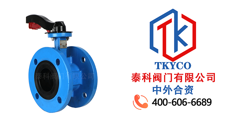 1703644500.jpg 手柄法蘭蝶閥拼圖尼必可.jpg