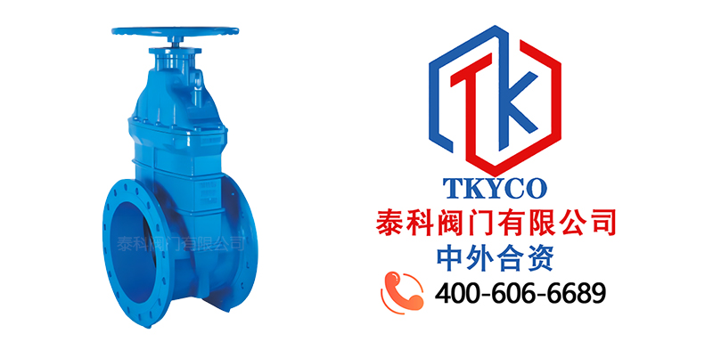 1713923660.jpg 大口徑彈性座封閘閥拼圖尼必可.jpg