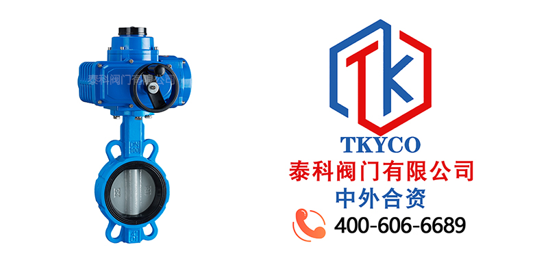 1715736667.jpg 電動對夾蝶閥尼必可.jpg