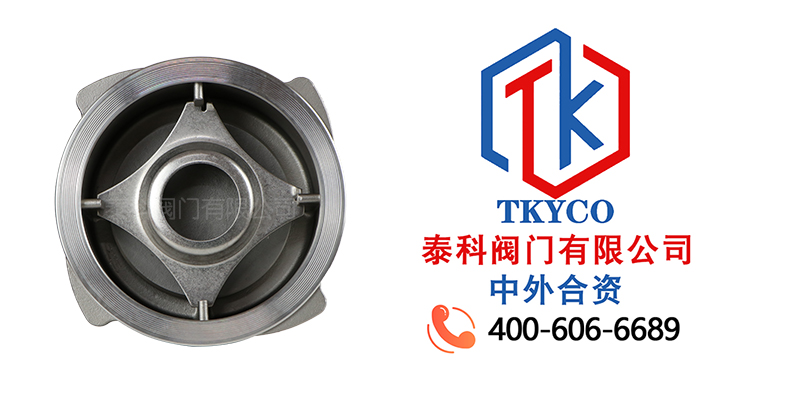 1716947622.jpg 對(duì)夾式止回閥拼圖尼必可.jpg