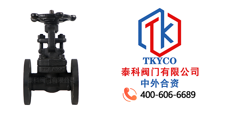 1718761902.jpg 鍛鋼法蘭閘閥拼圖尼必可.jpg