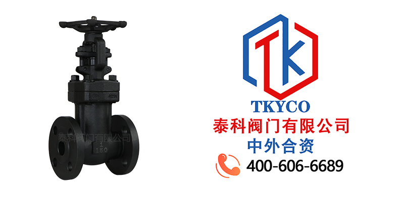 1721180633.jpg 鍛鋼波紋管截止閥拼圖尼必可.jpg