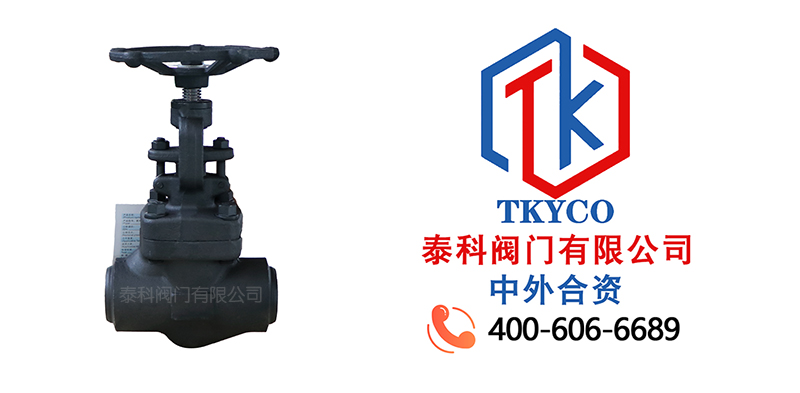 1722390358.jpg 對焊截止閥尼必可.jpg