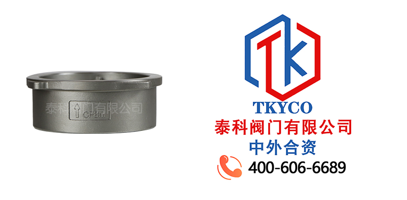 1723000995.jpg 不銹鋼對夾式止回閥拼圖尼必可.jpg