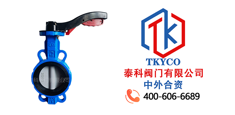 1729047282.jpg 手柄對夾蝶閥拼圖.jpg