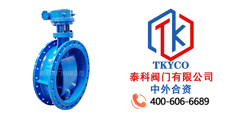 1731461564.jpg 渦輪法蘭蝶閥拼圖尼必可.jpg