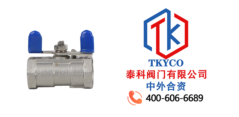 1732671900.jpg mini球閥拼圖尼必可.jpg