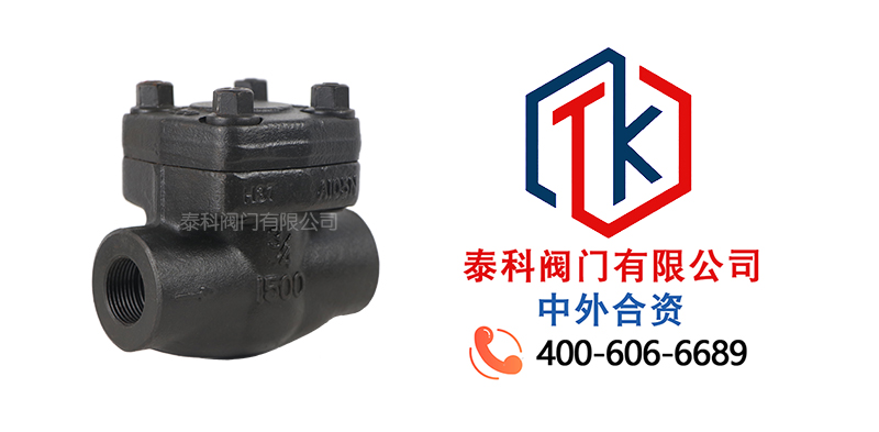 1752630714161211.jpg 對夾式鍛鋼止回閥拼圖尼必可.jpg