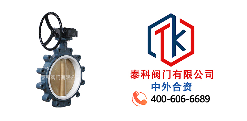 1762307528323999.jpg 蝸輪對夾支耳蝶閥拼圖尼必可.jpg